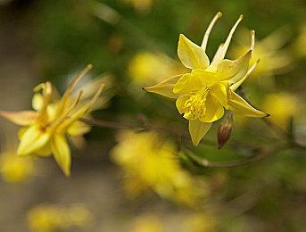 互动影像纪录游戏《杰夫·明特的故事》现已正式推出