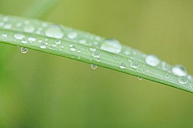 《铲子骑士》开发商公布像素风新作《挖洞鼠米娜》